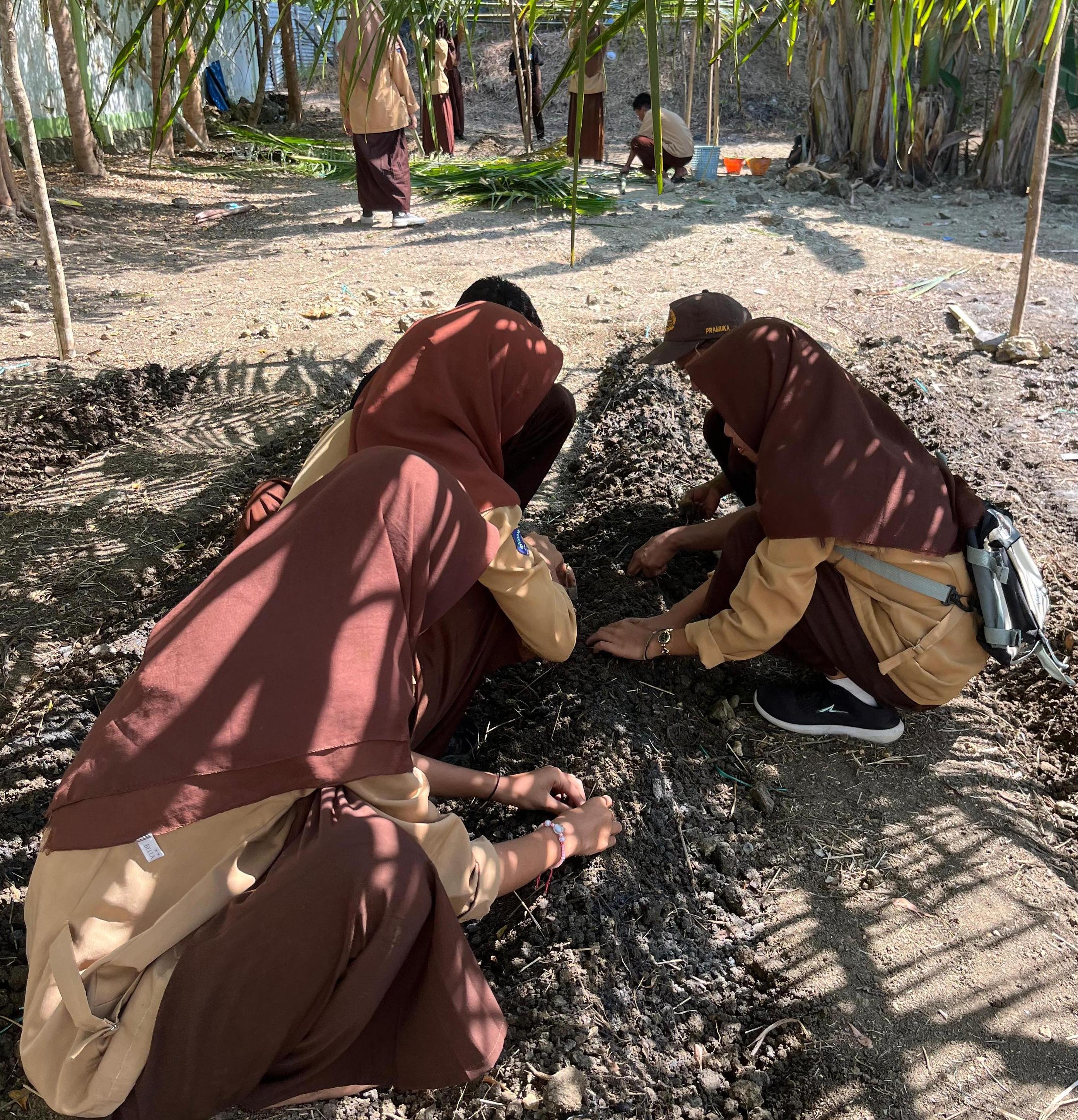 Program Ketahanan Pangan Siswa, Sekolah Manfaatkan Lahan Kosong Jadi Kebun Edukasi
